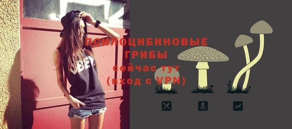 apvp Арсеньев