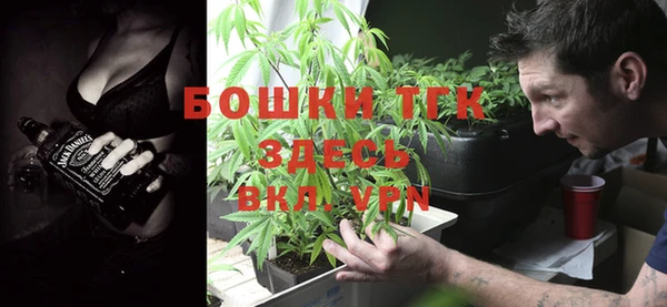 тгк Аркадак
