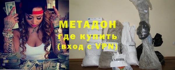 гашик Алексин